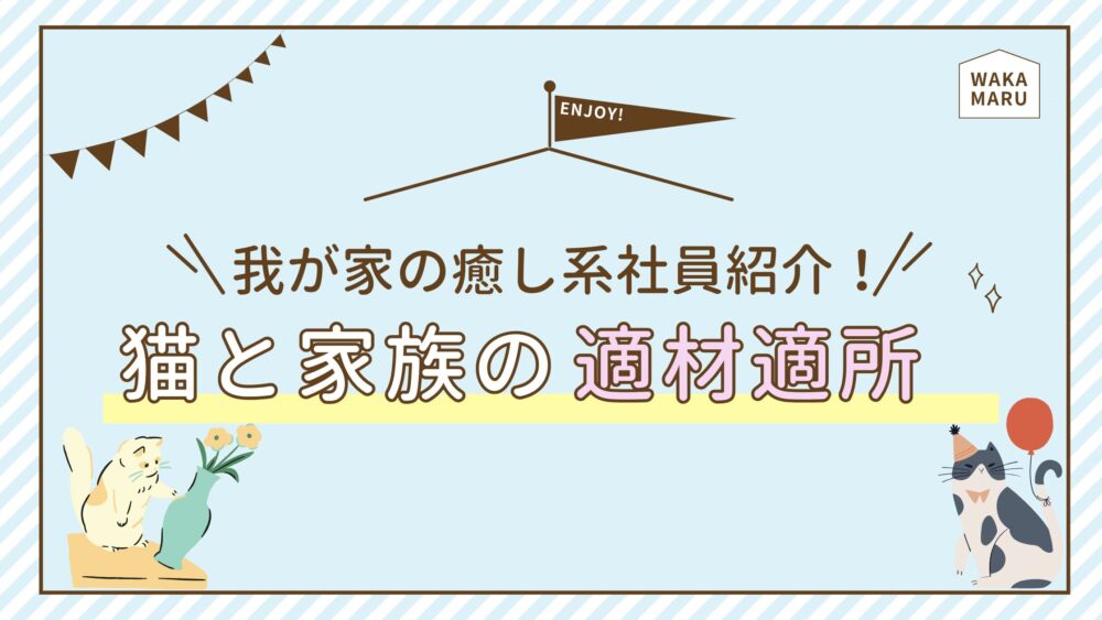 わが家の癒し系社員紹介！猫と家族の適材適所