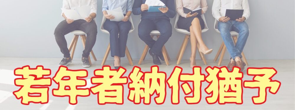 若年者納付猶予